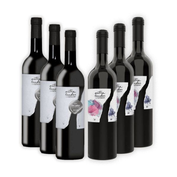 Bodega Entrelindes Pack vinos tintos